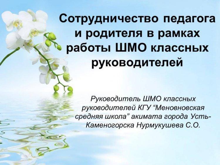 Сотрудничество педагога и родителя
